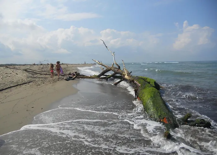 - Dal Monte Al Mare